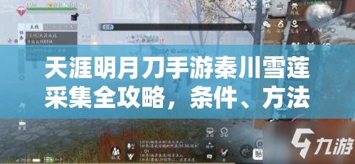 天涯明月刀手游秦川雪莲采集全攻略，条件、方法、最佳地点与技巧详解