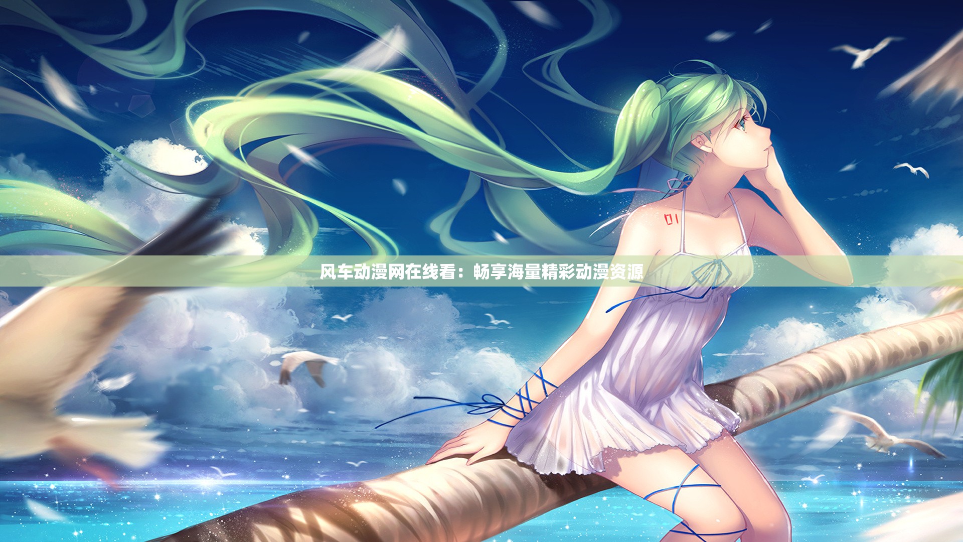 风车动漫网在线看：畅享海量精彩动漫资源