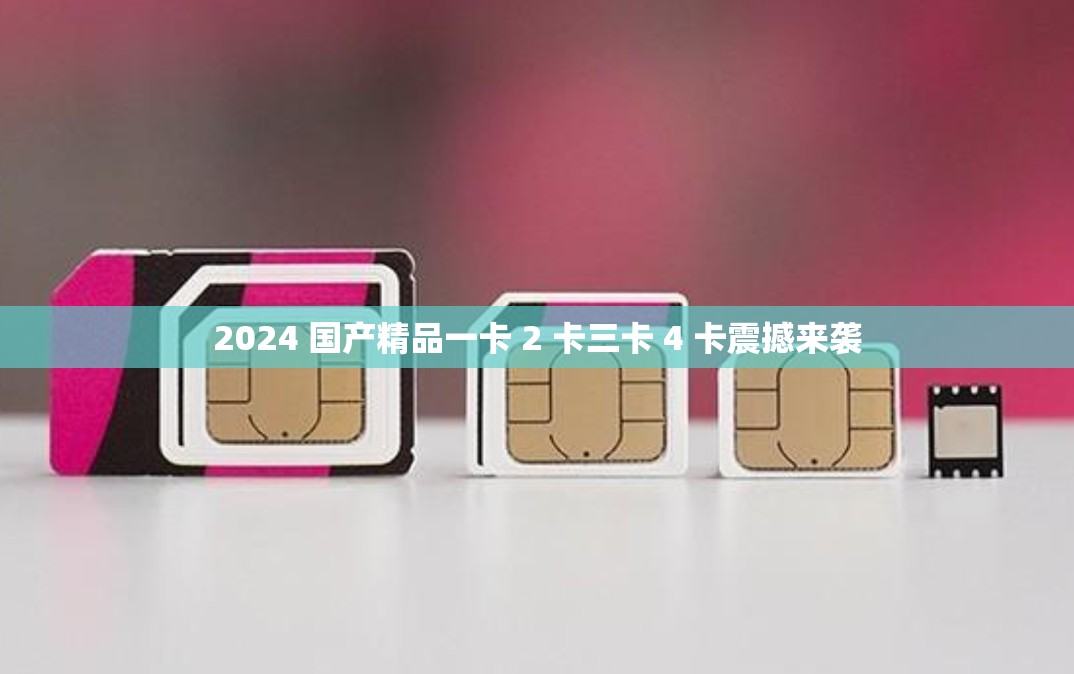 2024 国产精品一卡 2 卡三卡 4 卡震撼来袭