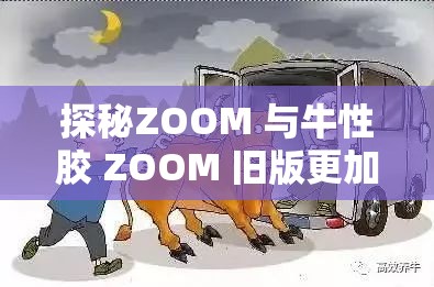 探秘ZOOM 与牛性胶 ZOOM 旧版更加给力：带你深入了解其独特魅力