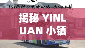 揭秘 YINLUAN 小镇公交车尺寸：尺寸惊人