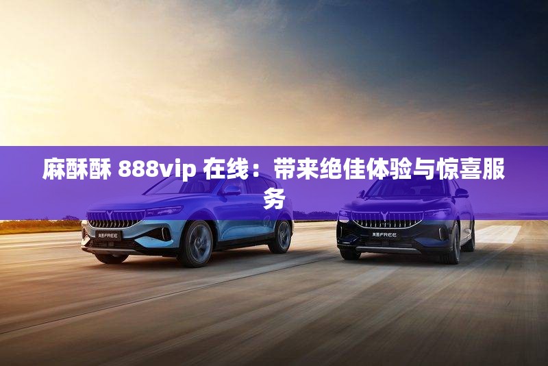 麻酥酥 888vip 在线：带来绝佳体验与惊喜服务