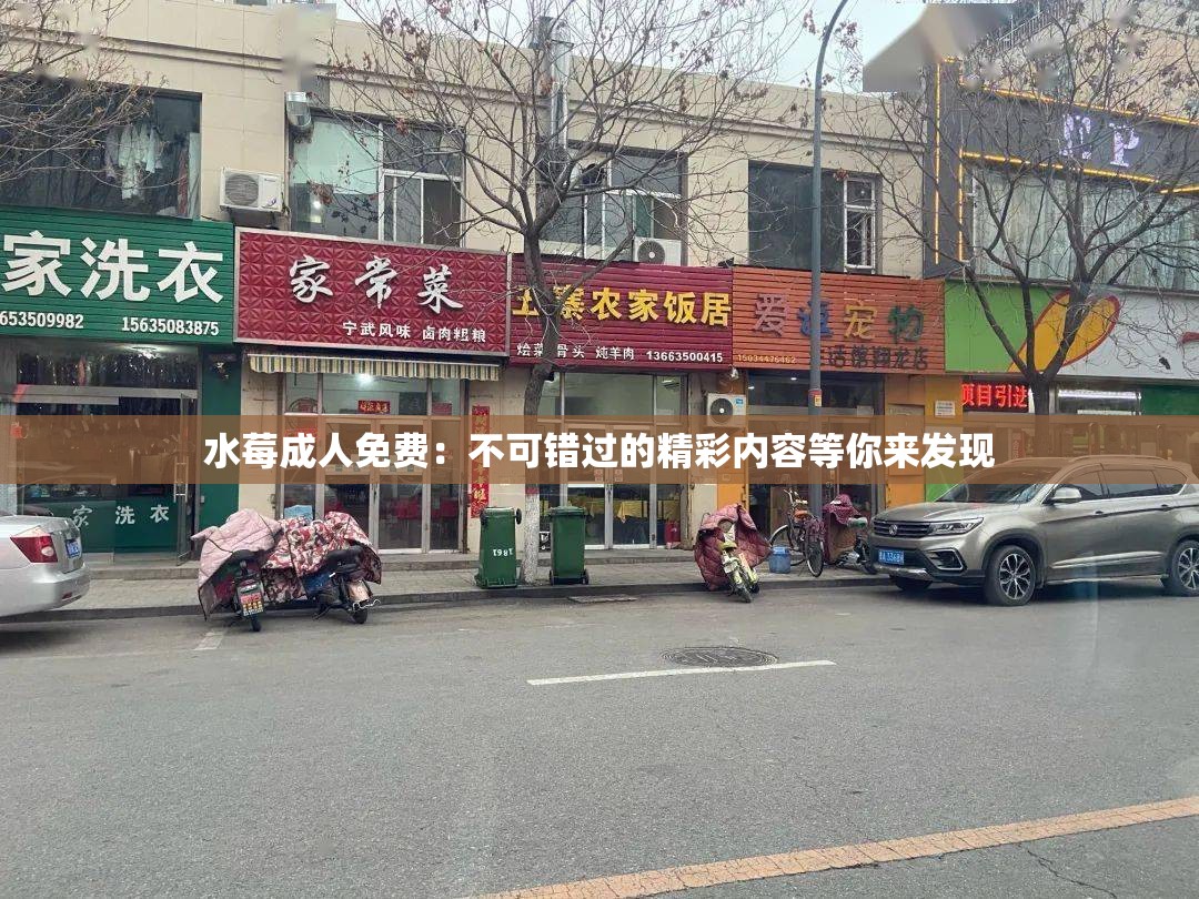 水莓成人免费：不可错过的精彩内容等你来发现