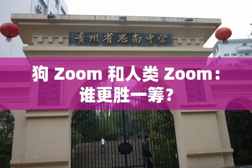狗 Zoom 和人类 Zoom：谁更胜一筹？