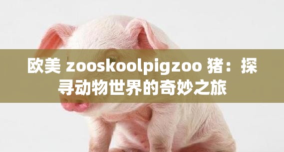 欧美 zooskoolpigzoo 猪：探寻动物世界的奇妙之旅