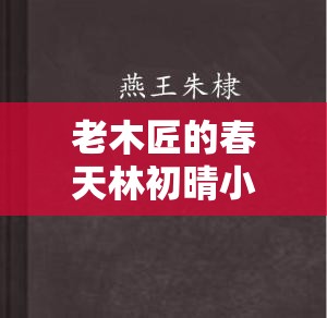 老木匠的春天林初晴小说更新持续进行中