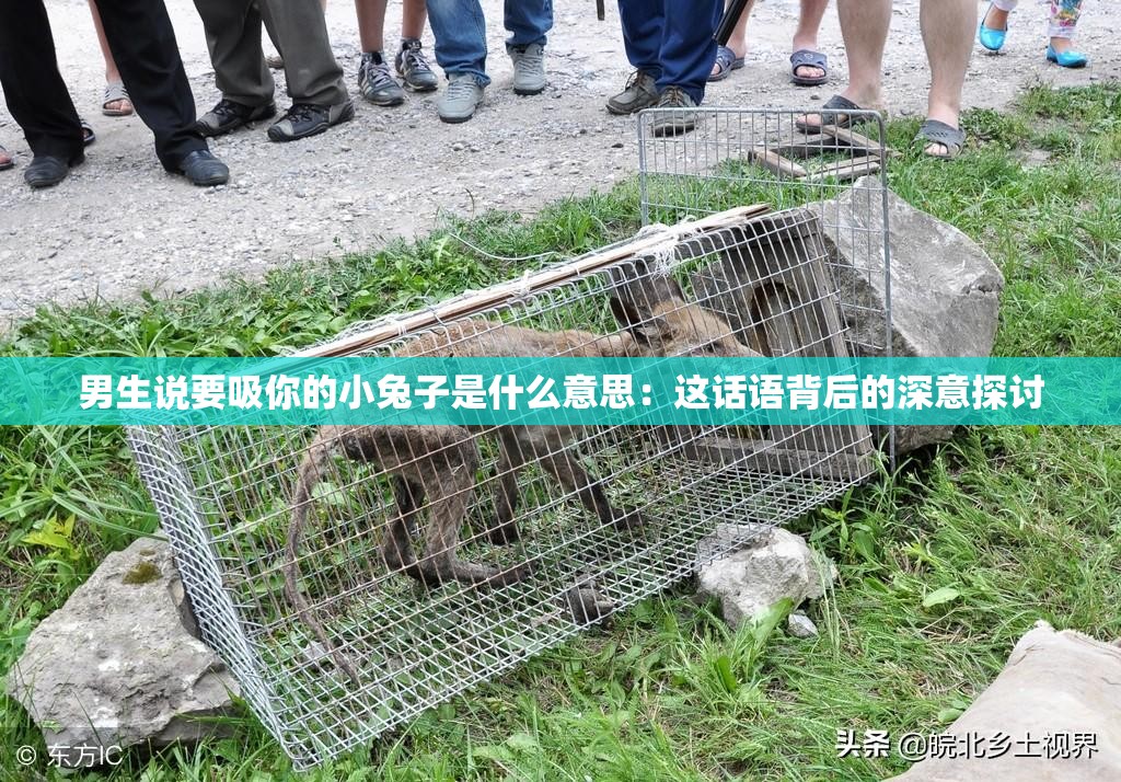 男生说要吸你的小兔子是什么意思：这话语背后的深意探讨