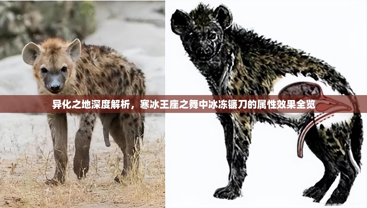 异化之地深度解析，寒冰王座之舞中冰冻镰刀的属性效果全览