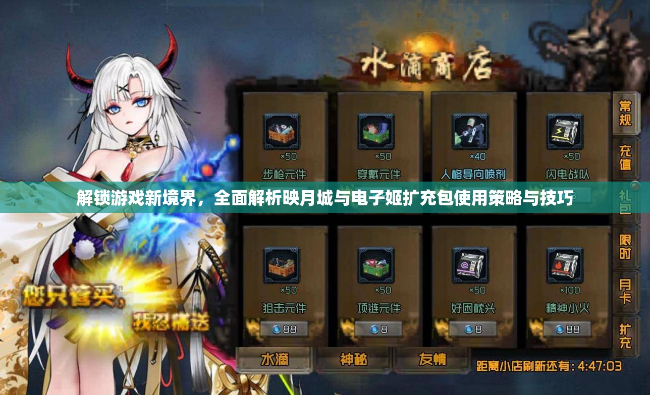 解锁游戏新境界，全面解析映月城与电子姬扩充包使用策略与技巧