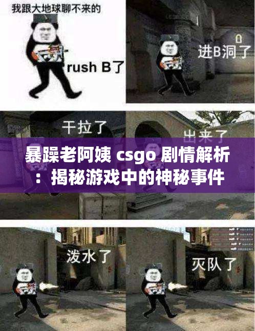 暴躁老阿姨 csgo 剧情解析：揭秘游戏中的神秘事件