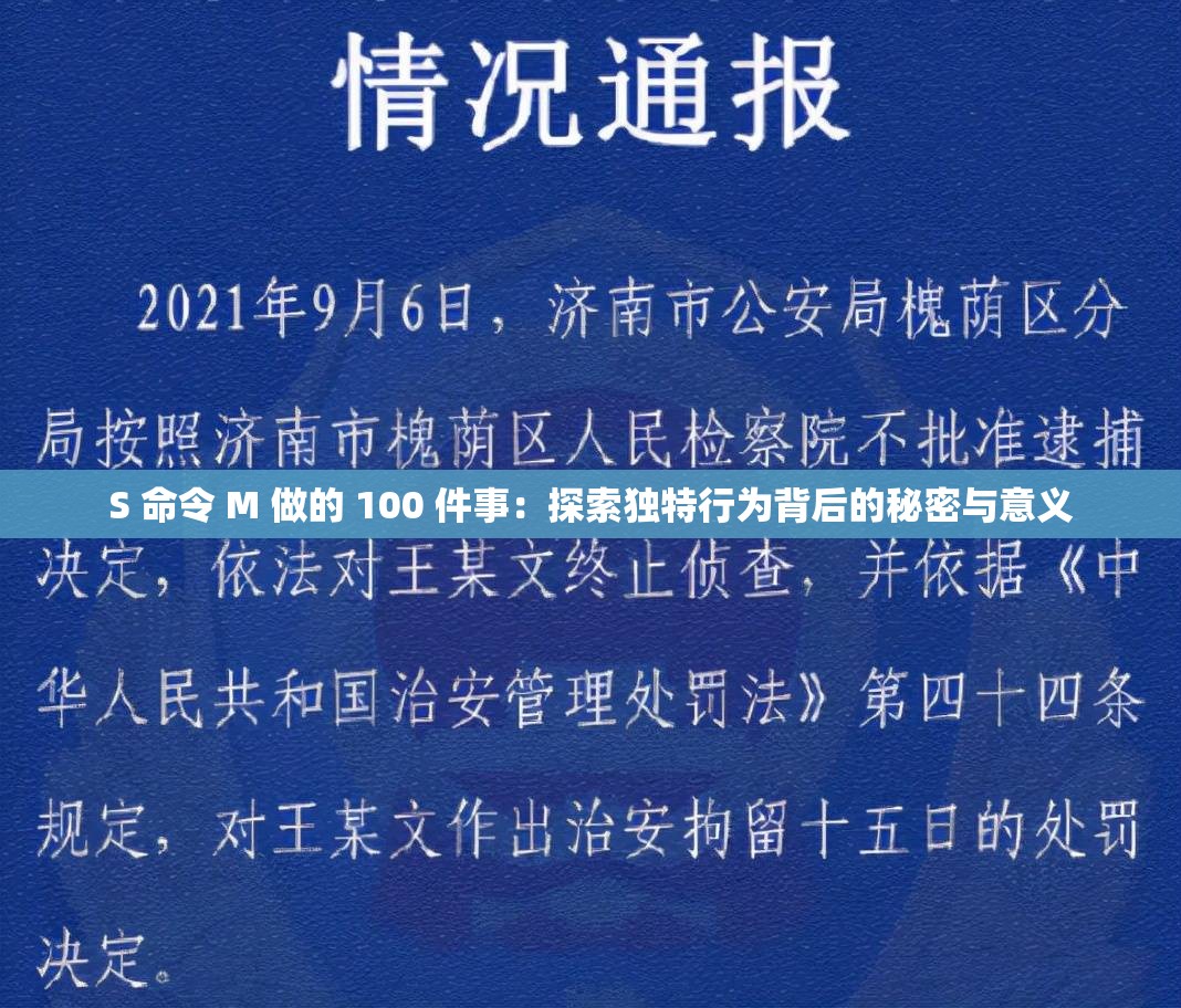 S 命令 M 做的 100 件事：探索独特行为背后的秘密与意义