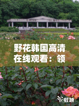 野花韩国高清在线观看：领略异国风情的视觉盛宴