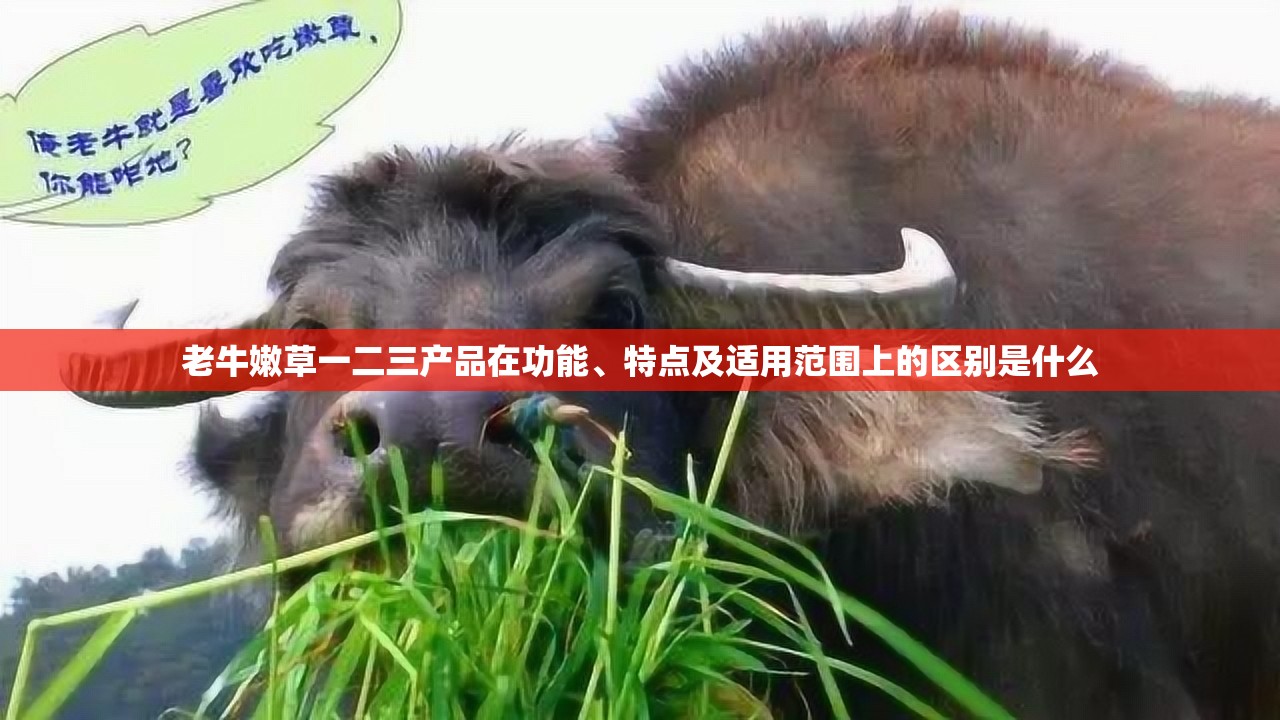 老牛嫩草一二三产品在功能、特点及适用范围上的区别是什么