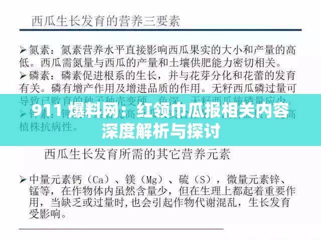 911 爆料网：红领巾瓜报相关内容深度解析与探讨