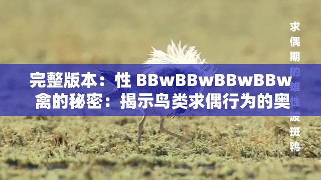 完整版本：性 BBwBBwBBwBBw 禽的秘密：揭示鸟类求偶行为的奥秘