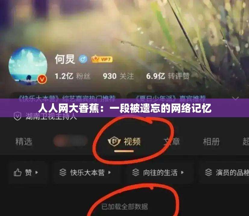 人人网大香蕉：一段被遗忘的网络记忆