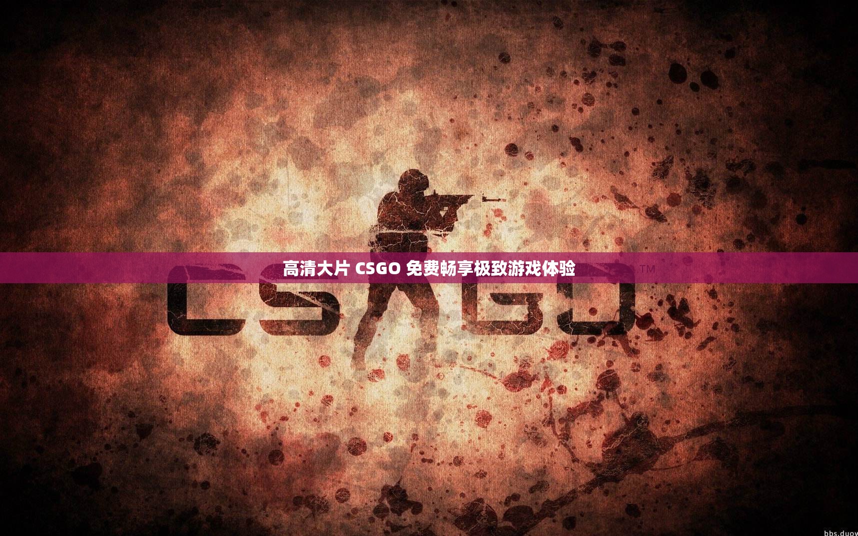 高清大片 CSGO 免费畅享极致游戏体验