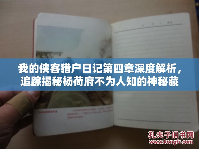 我的侠客猎户日记第四章深度解析，追踪揭秘杨荷府不为人知的神秘藏身之所