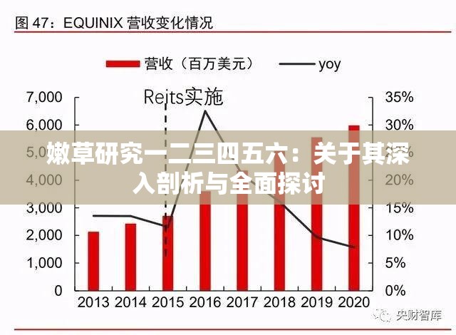 嫩草研究一二三四五六：关于其深入剖析与全面探讨