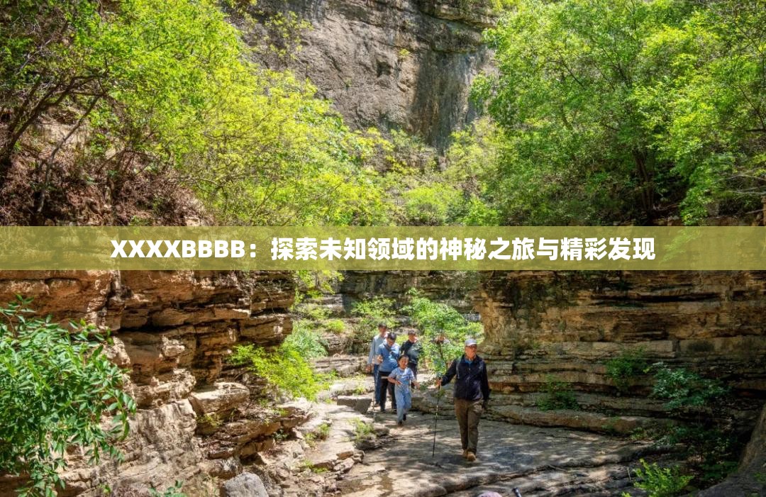 XXXXBBBB：探索未知领域的神秘之旅与精彩发现