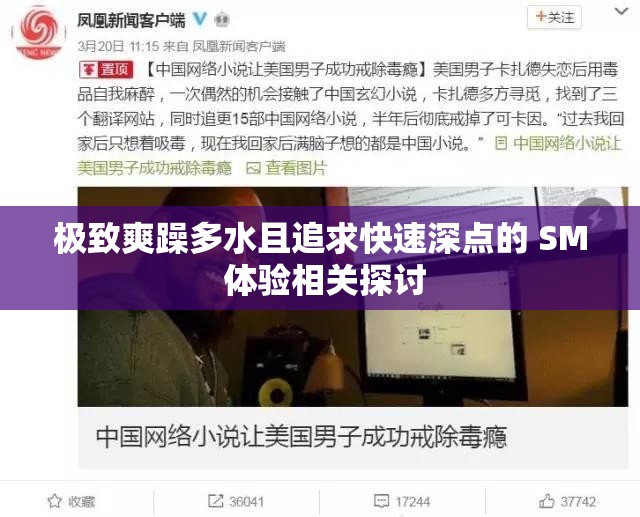 极致爽躁多水且追求快速深点的 SM 体验相关探讨