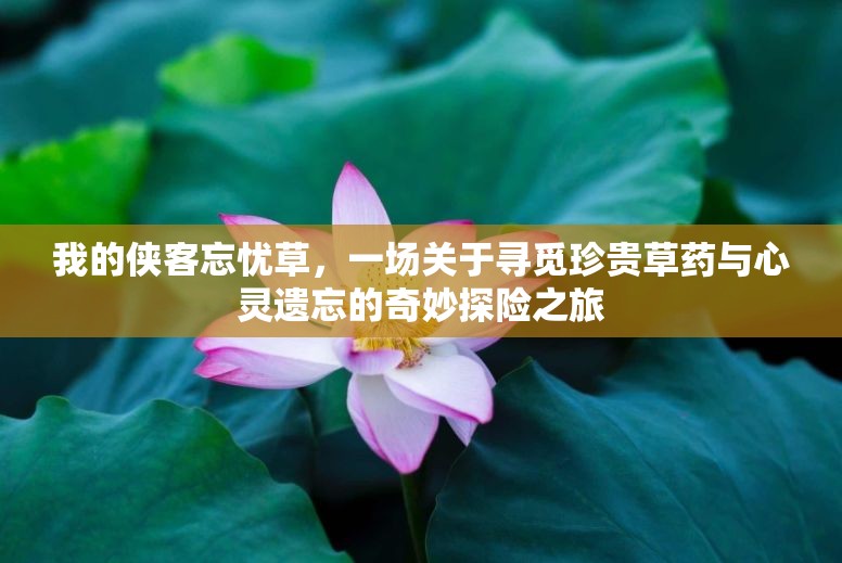 我的侠客忘忧草，一场关于寻觅珍贵草药与心灵遗忘的奇妙探险之旅