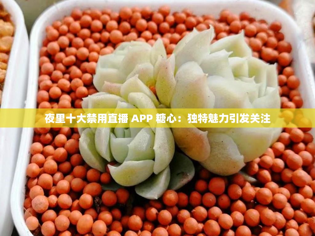 夜里十大禁用直播 APP 糖心：独特魅力引发关注