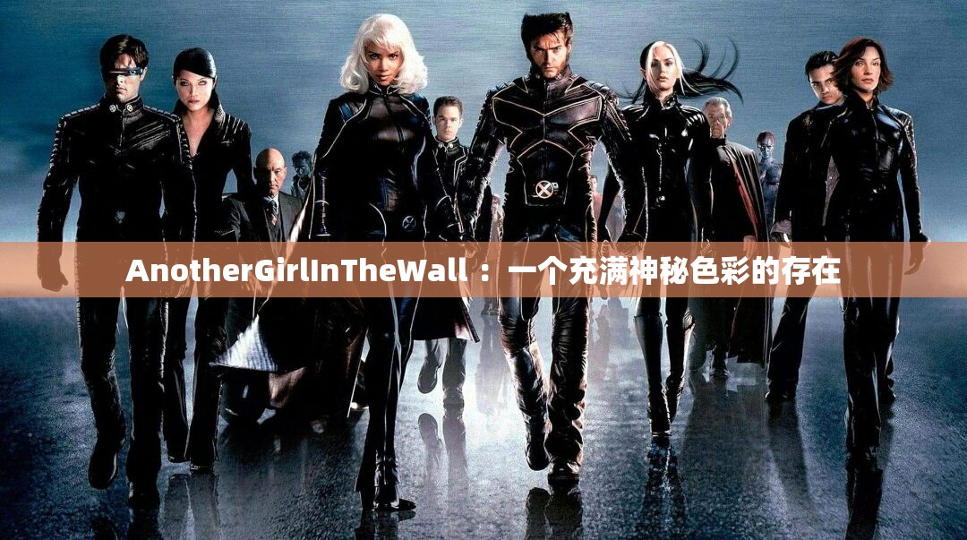 AnotherGirlInTheWall ：一个充满神秘色彩的存在