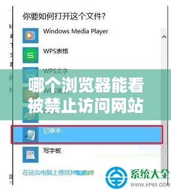 哪个浏览器能看被禁止访问网站的相关探讨