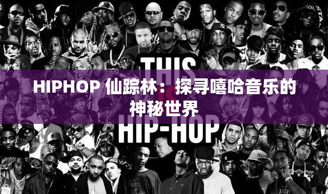HIPHOP 仙踪林：探寻嘻哈音乐的神秘世界