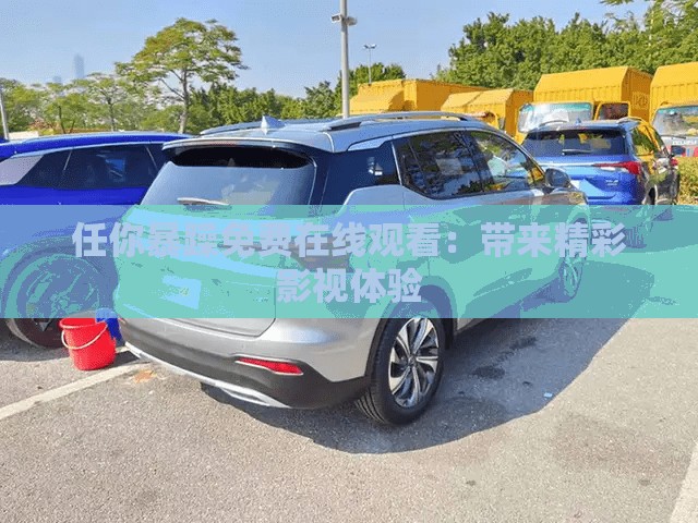 任你暴躁免费在线观看：带来精彩影视体验