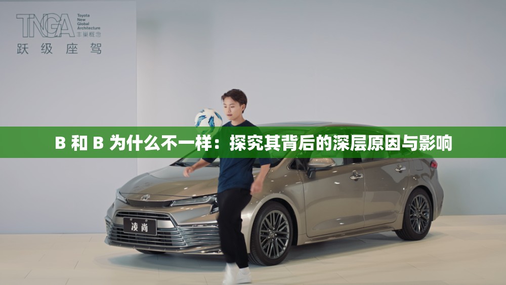 B 和 B 为什么不一样：探究其背后的深层原因与影响