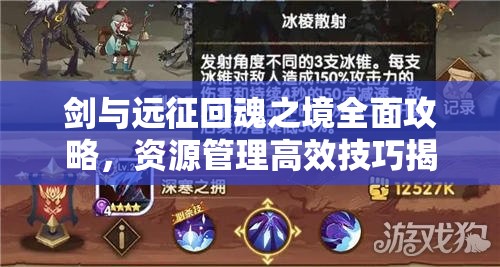剑与远征回魂之境全面攻略，资源管理高效技巧揭秘及避免资源浪费策略