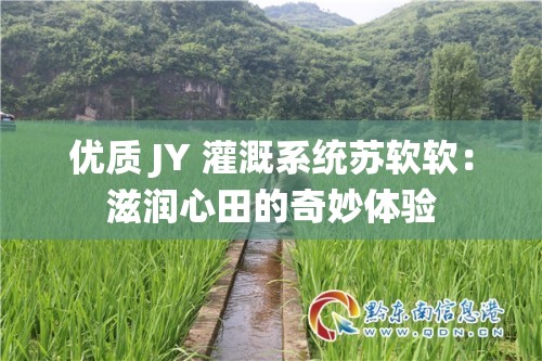 优质 JY 灌溉系统苏软软：滋润心田的奇妙体验