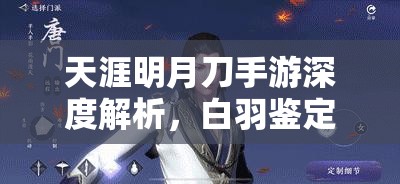 天涯明月刀手游深度解析，白羽鉴定真伪的智慧策略与全面攻略