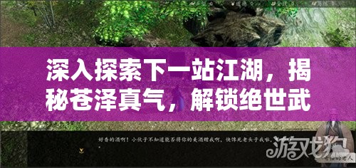 深入探索下一站江湖，揭秘苍泽真气，解锁绝世武功的修炼秘籍