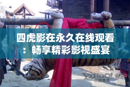 四虎影在永久在线观看：畅享精彩影视盛宴