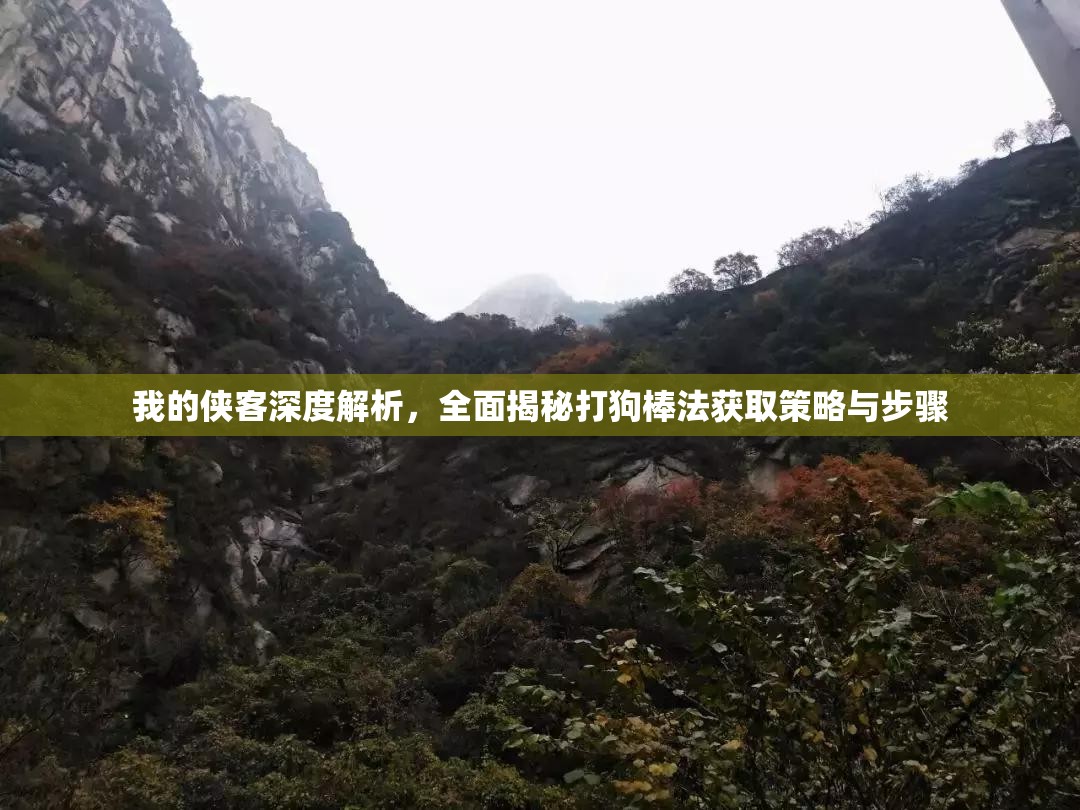 我的侠客深度解析，全面揭秘打狗棒法获取策略与步骤