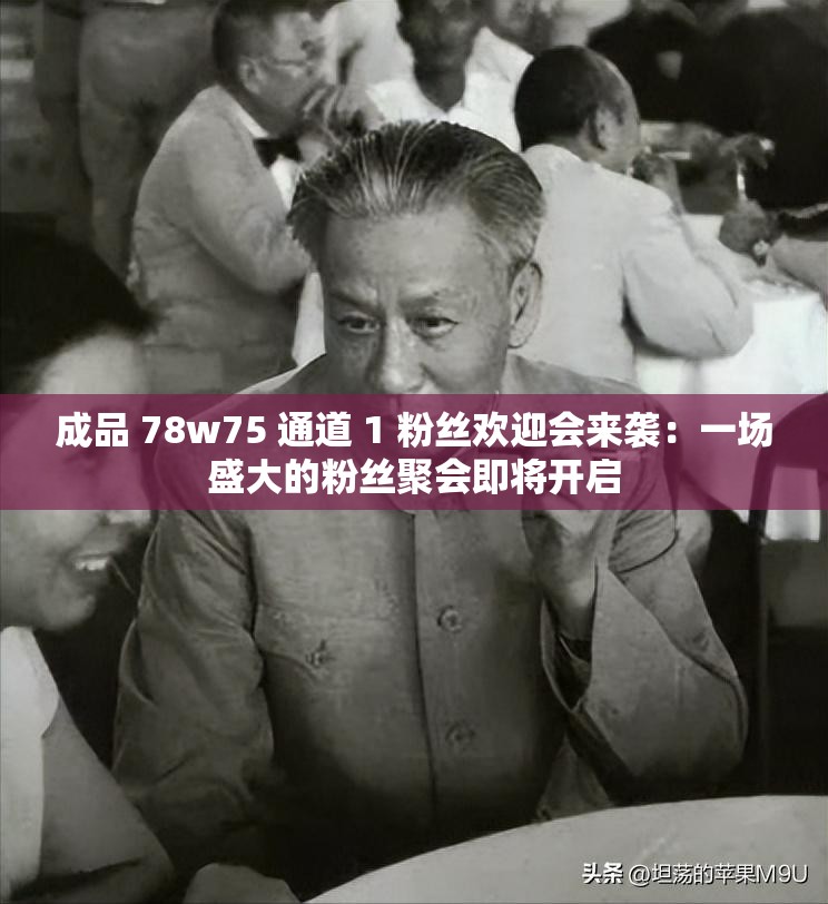 成品 78w75 通道 1 粉丝欢迎会来袭：一场盛大的粉丝聚会即将开启
