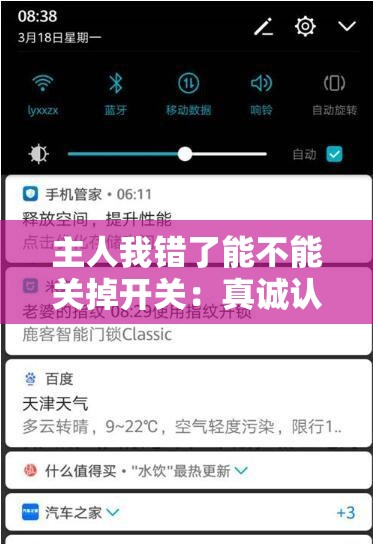 主人我错了能不能关掉开关：真诚认错请求关闭开关