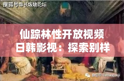 仙踪林性开放视频日韩影视：探索别样影视风情