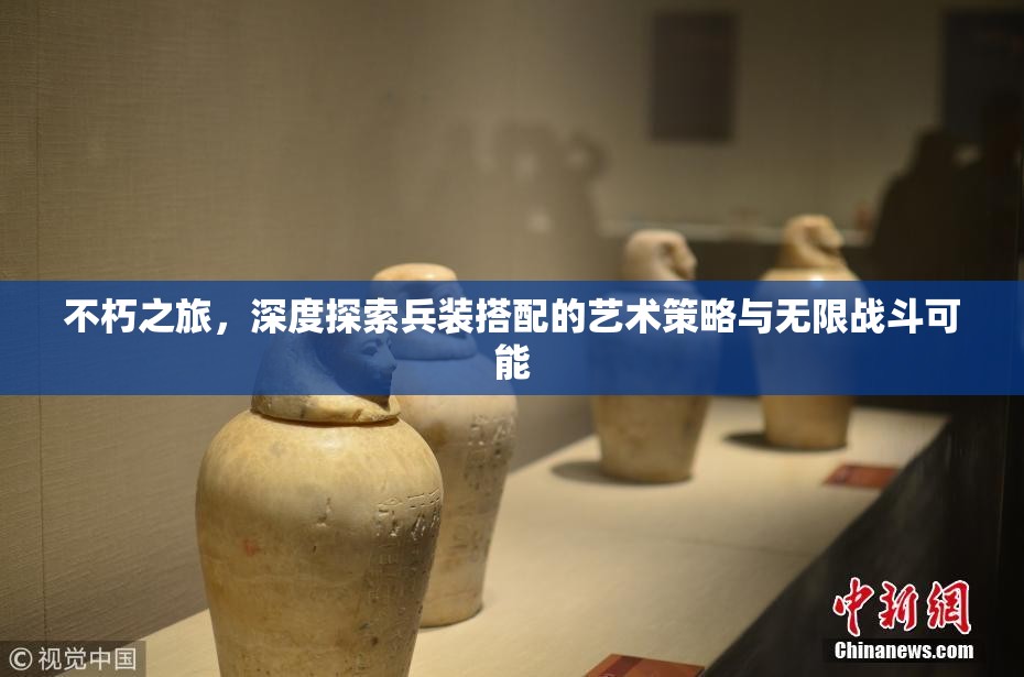 不朽之旅，深度探索兵装搭配的艺术策略与无限战斗可能