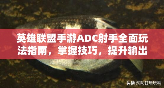 英雄联盟手游ADC射手全面玩法指南，掌握技巧，提升输出与生存能力