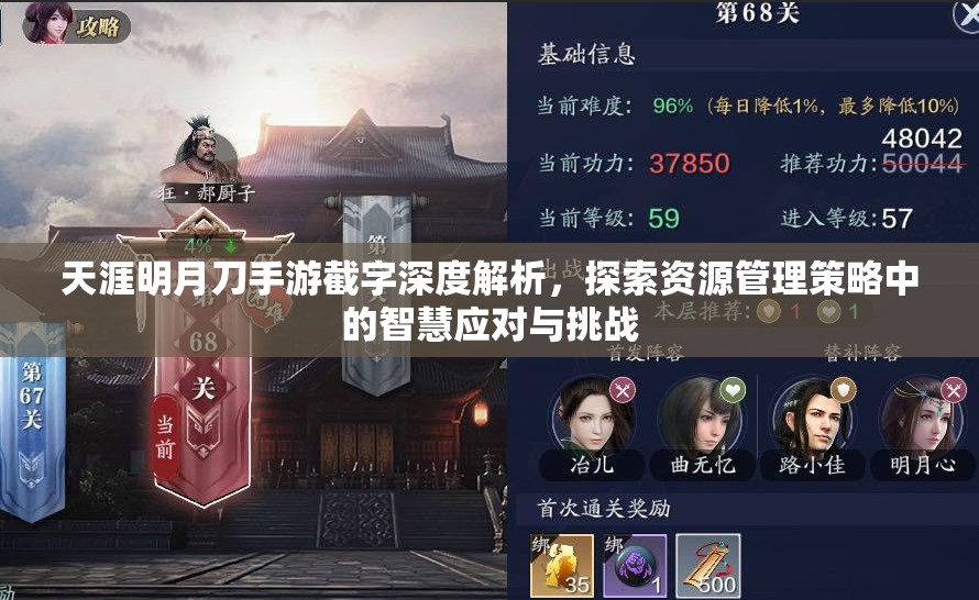 天涯明月刀手游截字深度解析，探索资源管理策略中的智慧应对与挑战