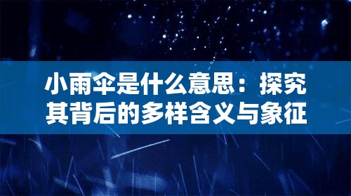 小雨伞是什么意思：探究其背后的多样含义与象征