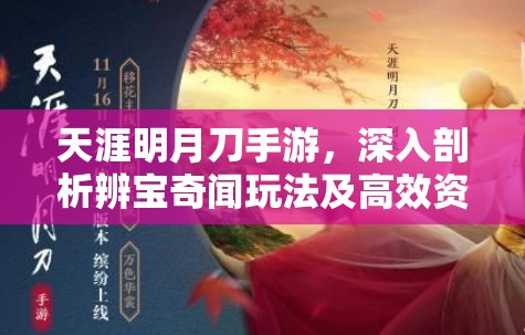 天涯明月刀手游，深入剖析辨宝奇闻玩法及高效资源管理策略