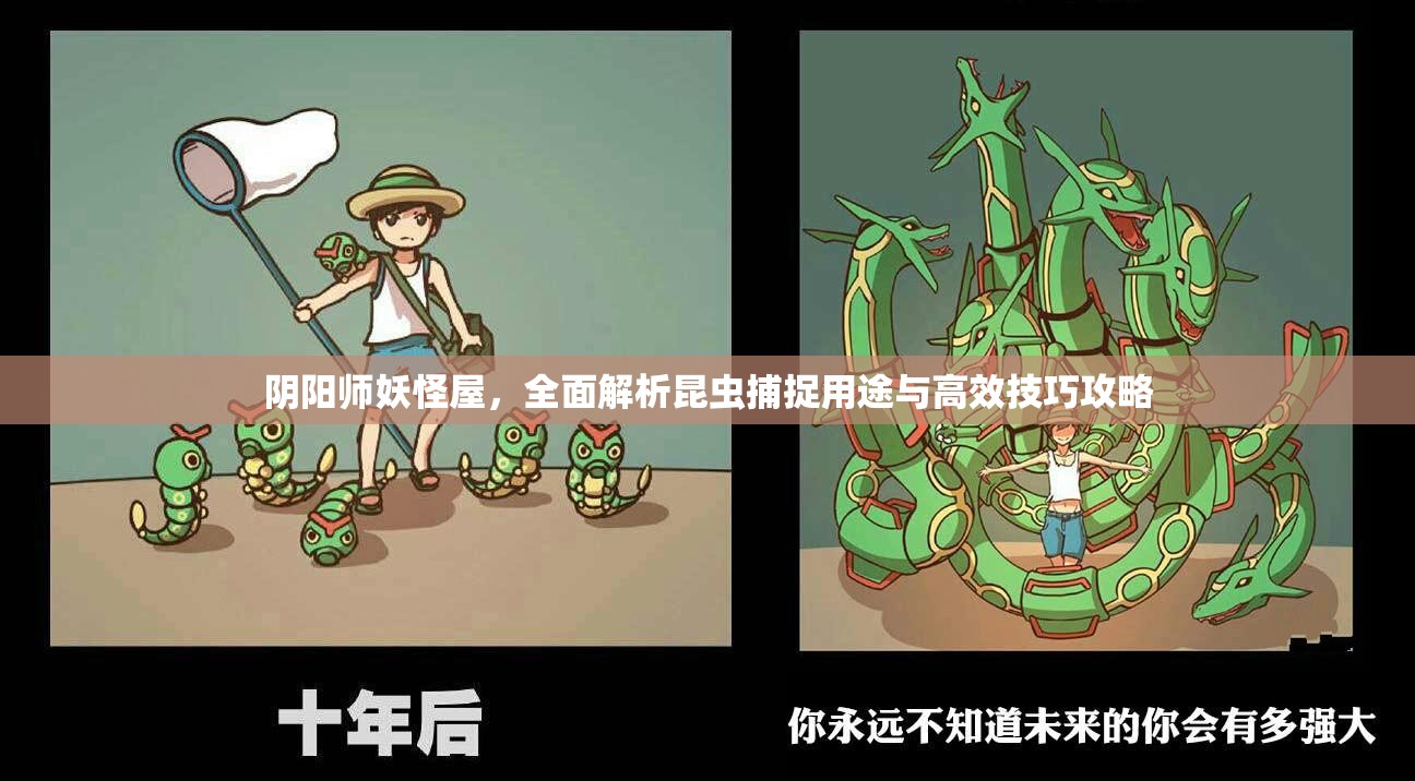 阴阳师妖怪屋，全面解析昆虫捕捉用途与高效技巧攻略