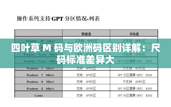 四叶草 M 码与欧洲码区别详解：尺码标准差异大