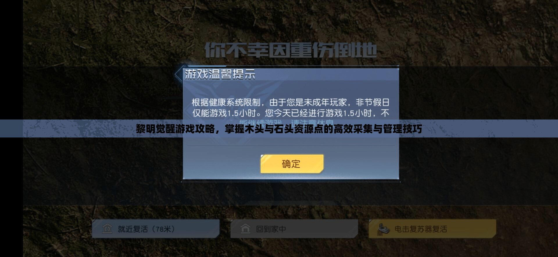 黎明觉醒游戏攻略，掌握木头与石头资源点的高效采集与管理技巧