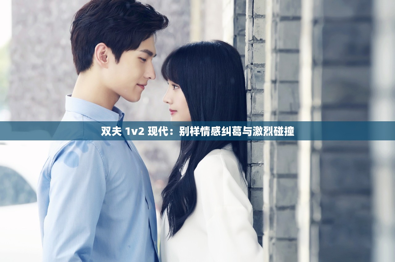 双夫 1v2 现代：别样情感纠葛与激烈碰撞